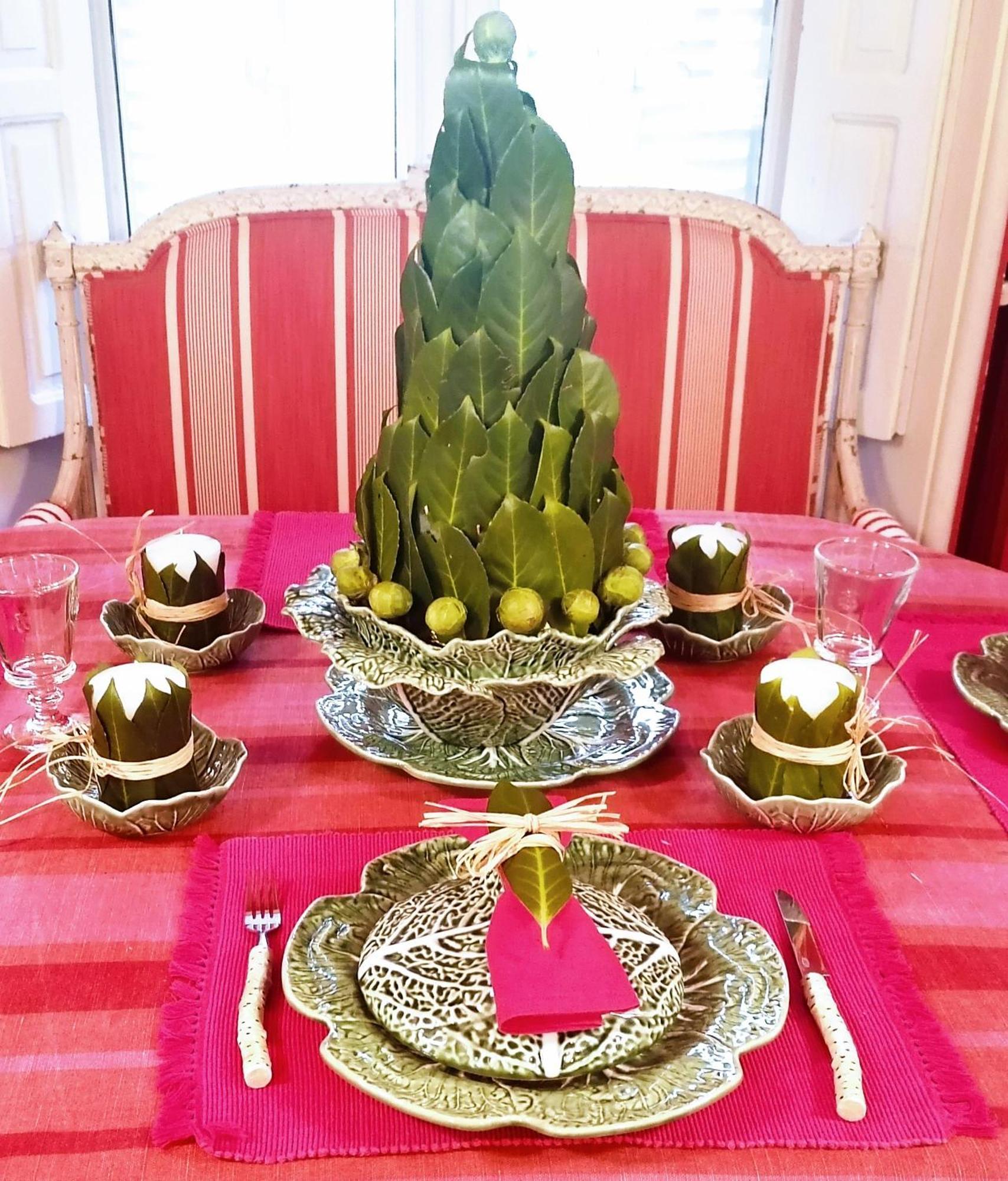 Caserta أونذاريبيا المظهر الخارجي الصورة